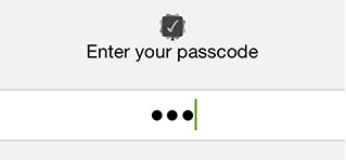 Password Protection